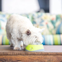 Lickimat OH Bowl – Gamelle à lécher pour chien – S, M et L