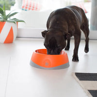 Lickimat OH Bowl – Gamelle à lécher pour chien – S, M et L