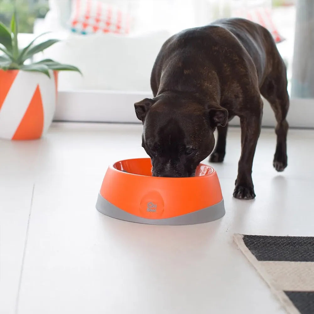 Lickimat OH Bowl – Gamelle à lécher pour chien – S, M et L