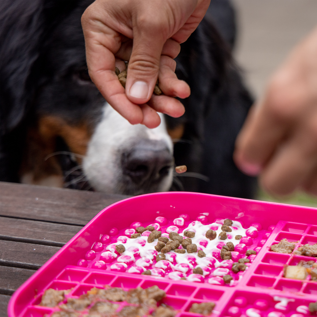 recette lickimat pour chien slomo XL