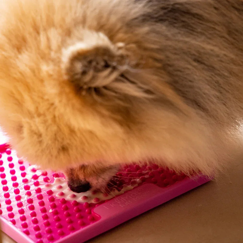lickimat soother tuff rose spitz