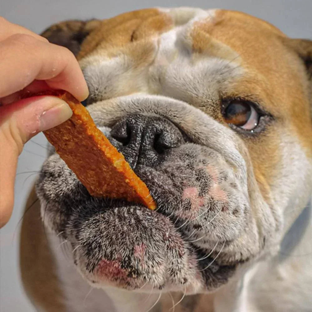 lamelle de viande chien