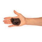 nez de cerf chiens