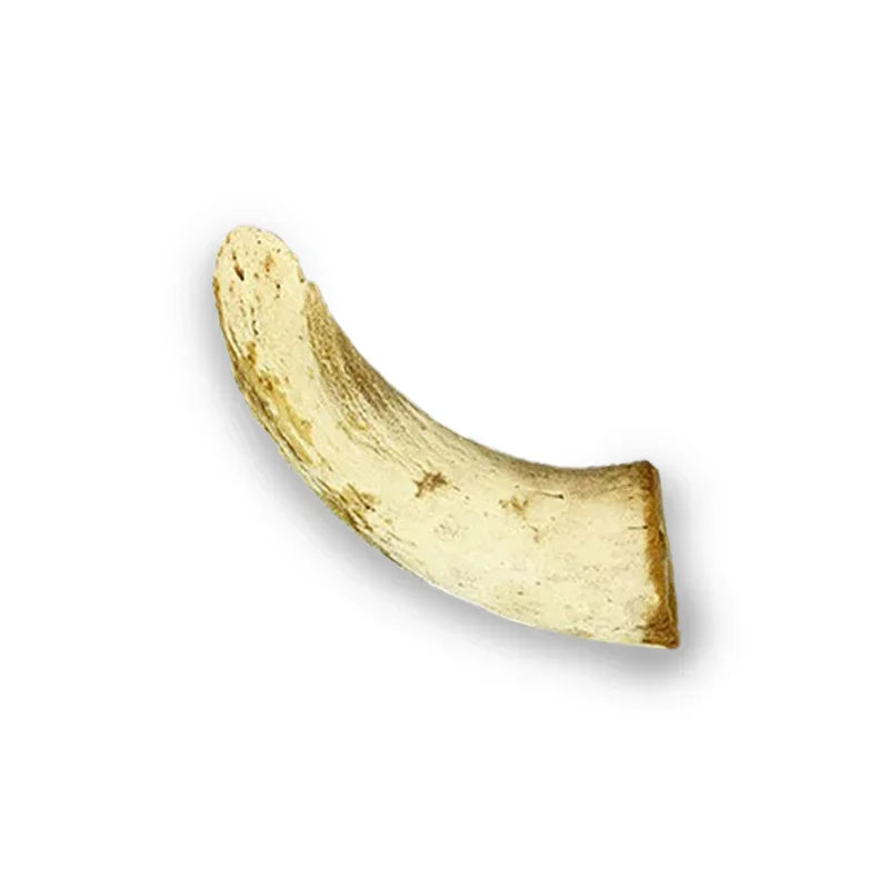 buffalo horn core