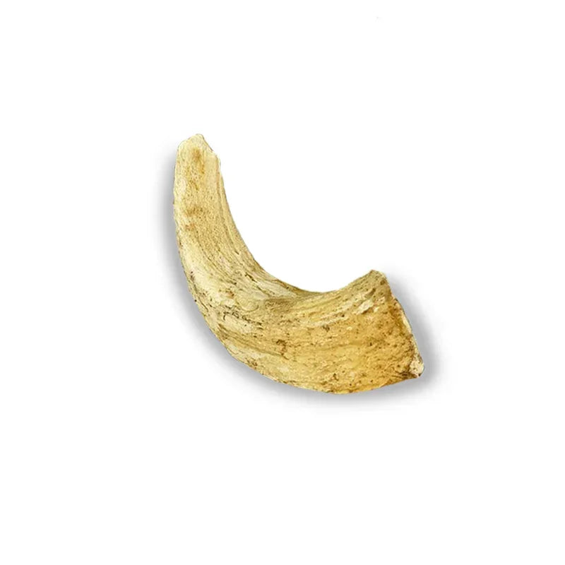 buffalo horn core
