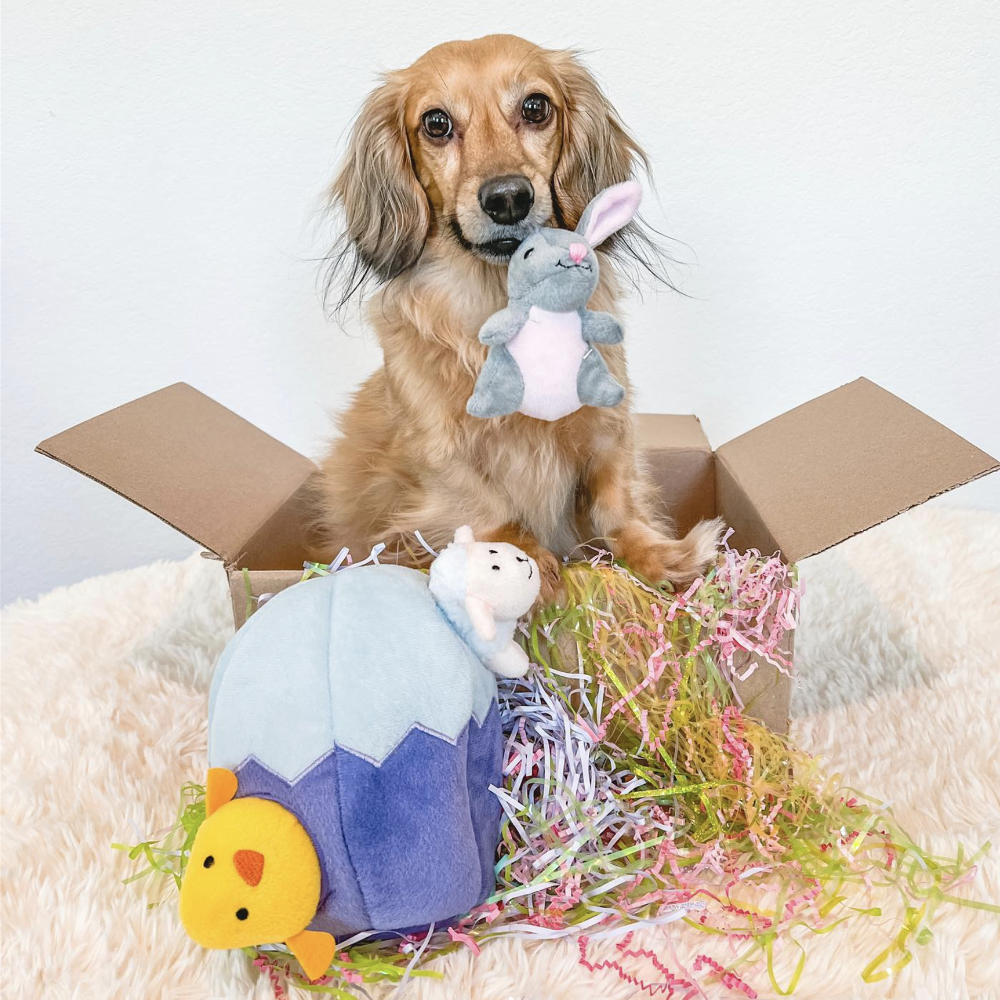 peluche de flair panier de paques pour chiens zippypaws