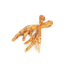 pattes de dinde pour chein