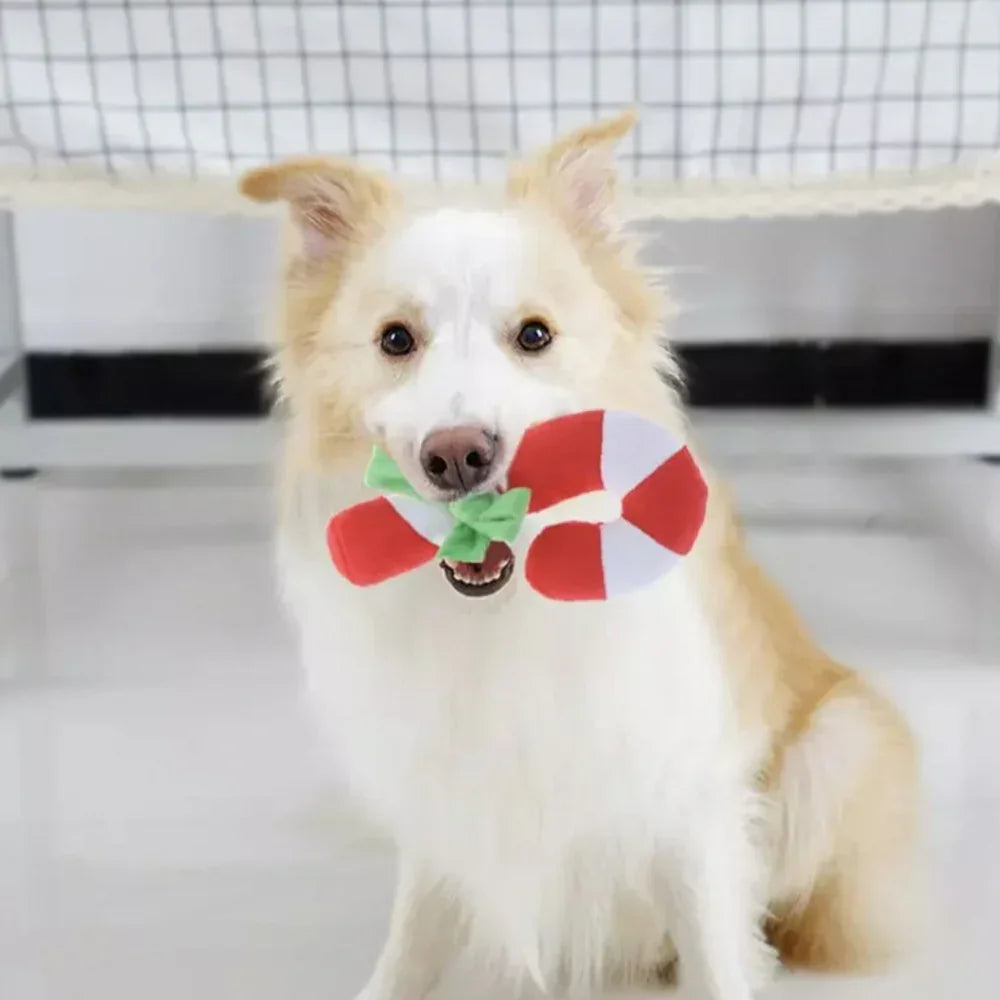 Mini Sugar Cane – Mini peluche pour chien Canne à sucre d'orge