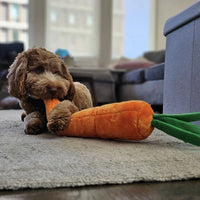 peluche pour chien carotte XXL