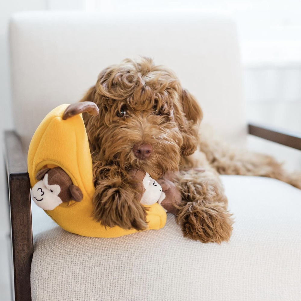 peluche de flair banane et singe pour chiens