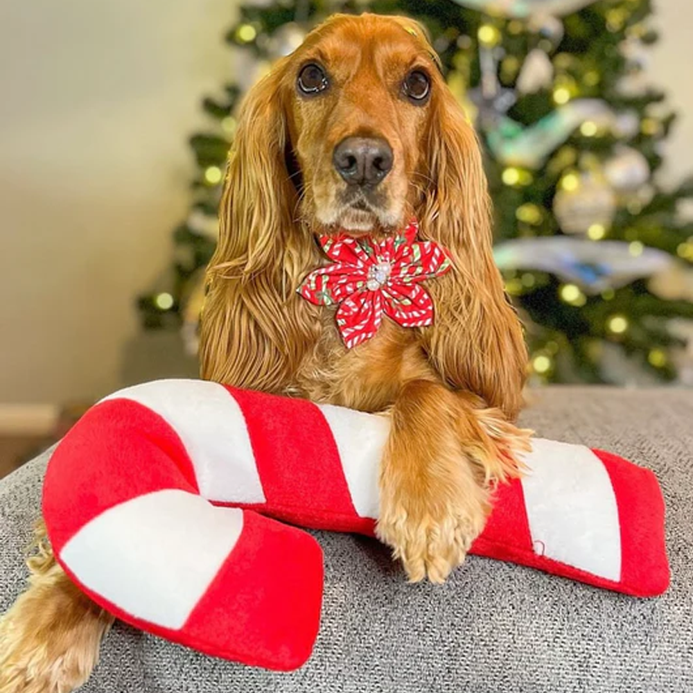 peluche pour chien candy cane jigglerz