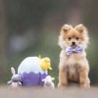 peluche de flair pour chien oeuf de paques