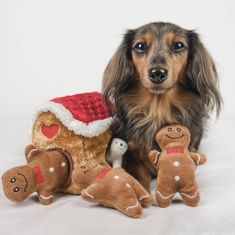 peluche de flair noel gingerbread man pour chien zippypaws