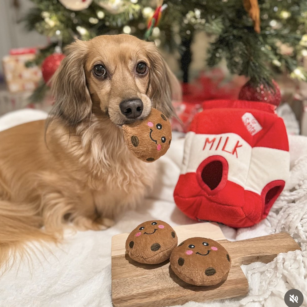 peluche de flair milk and cookies for Santa zippypaws