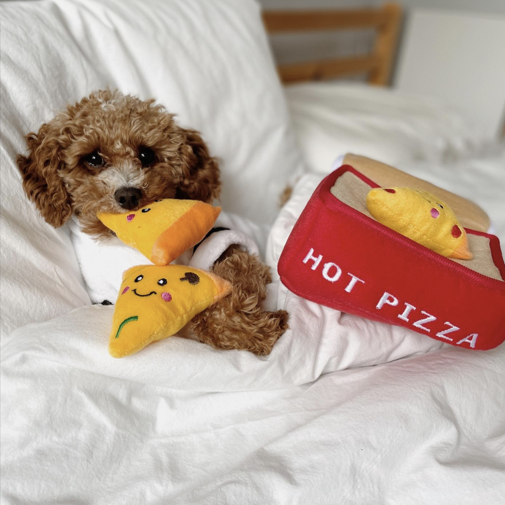 peluche de flair boite a pizza pour chien zippypaws