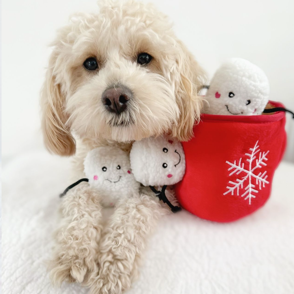 peluche de flair de Noël pour chien