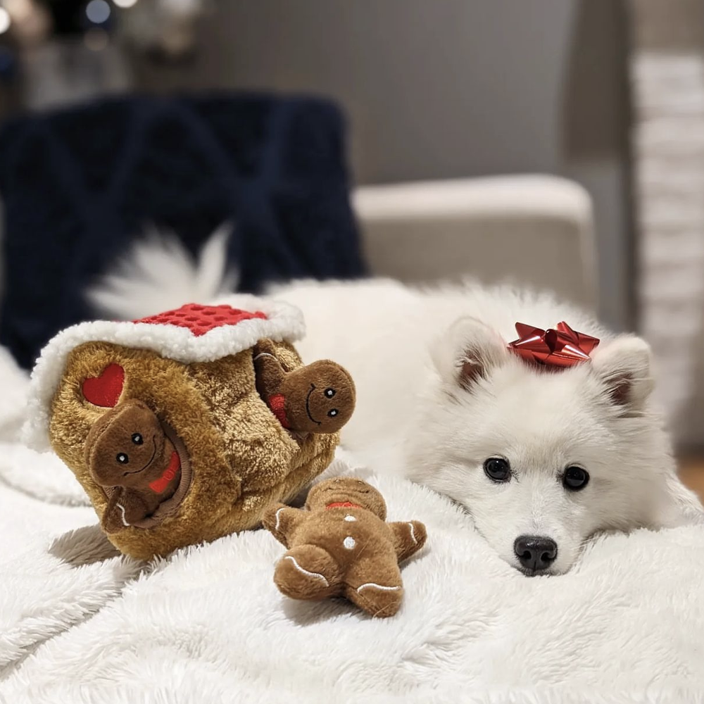 peluche de flair pour chien gingerbread house