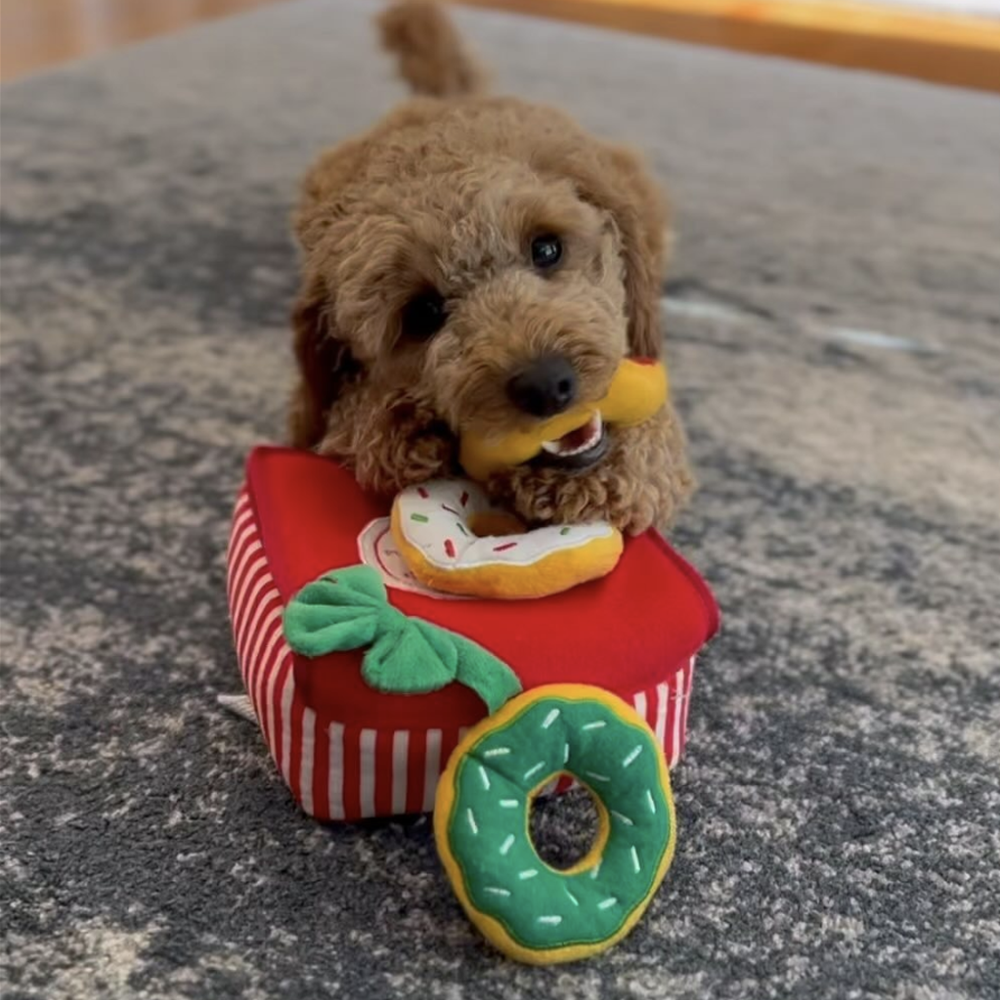 peluche de flair donut box christmas zippypaws