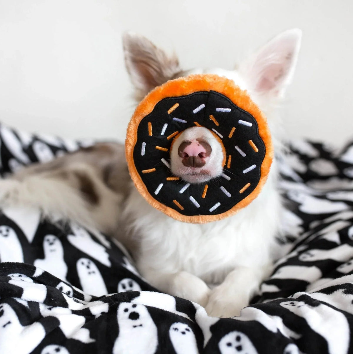 Peluche Donutz Pumpkin Spice spécial Halloween – ZippyPaws