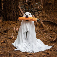 peluche halloween pour chien jigglerz