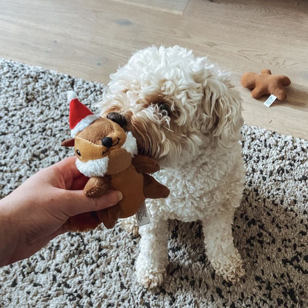 peluche pour chien ecureuil de noel miniz