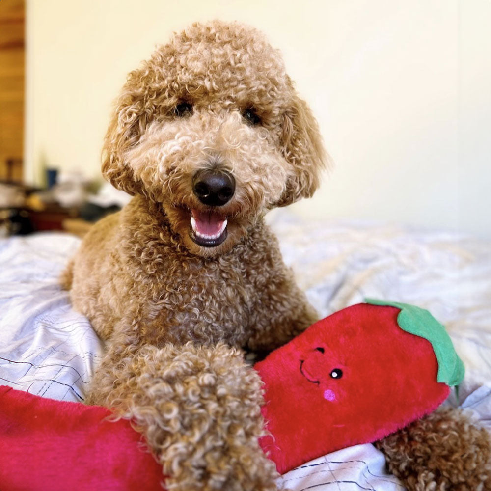 peluche pour chien piment rouge jigglerz