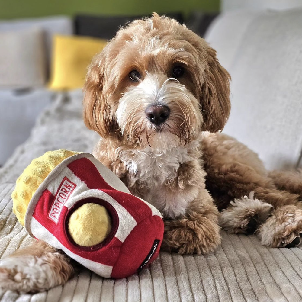 peluche de flair pour chien popcorn