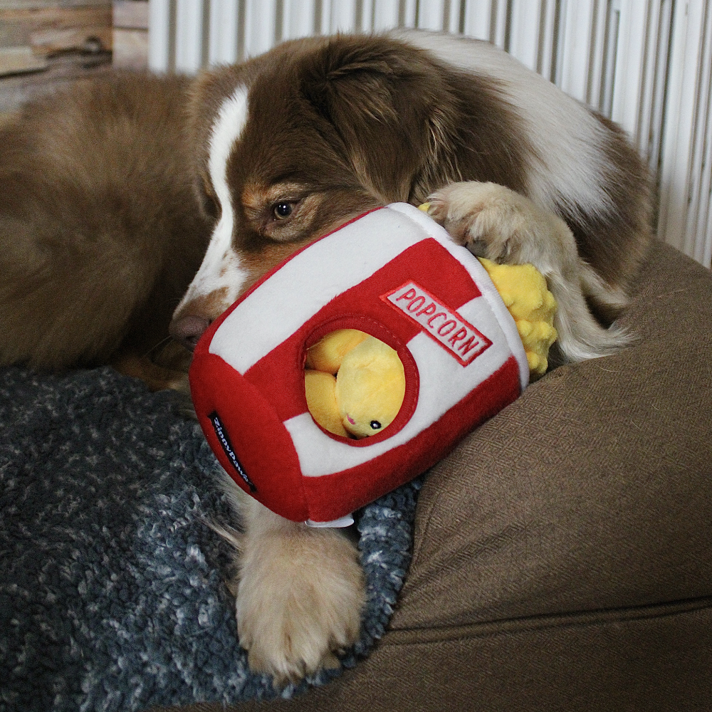 peluche pour chien popcorn