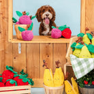 Crinkle Crops Harvest ZippyPaws – collection peluches fruits pour chien