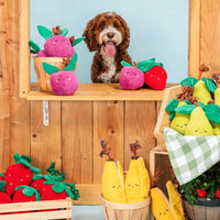Crinkle Crops Harvest ZippyPaws – collection peluches fruits pour chien