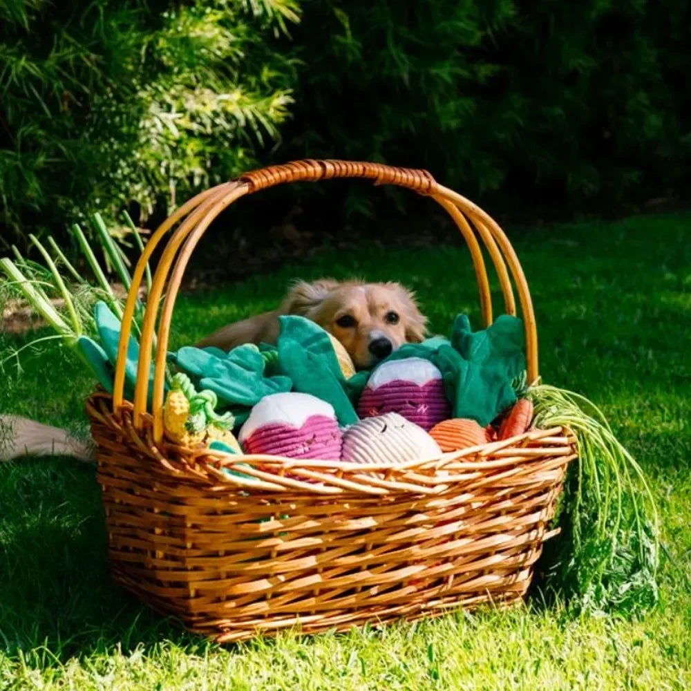 Crinkle Crops Maïs – Peluche pour chien Zippy Paws