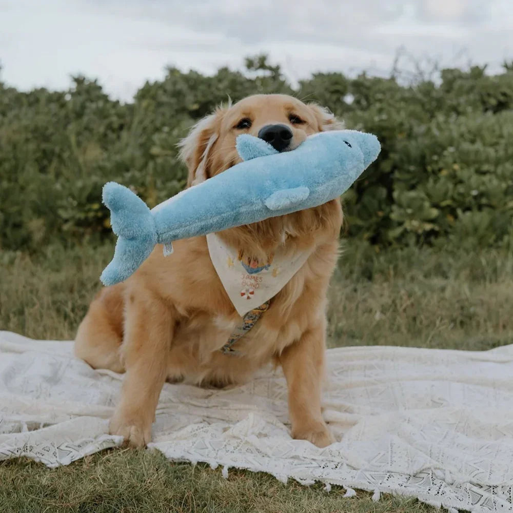 Peluche Dauphin – Peluche XXL pour chien – Jigglerz® Dolphin 🐬