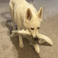 Peluche Requin – Peluche XXL pour chien – Jigglerz® Shark 🦈