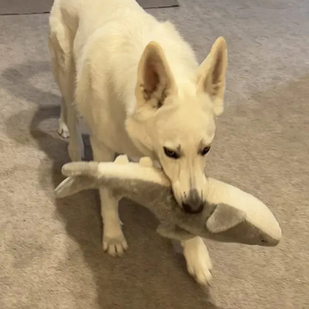 Peluche Requin – Peluche XXL pour chien – Jigglerz® Shark 🦈