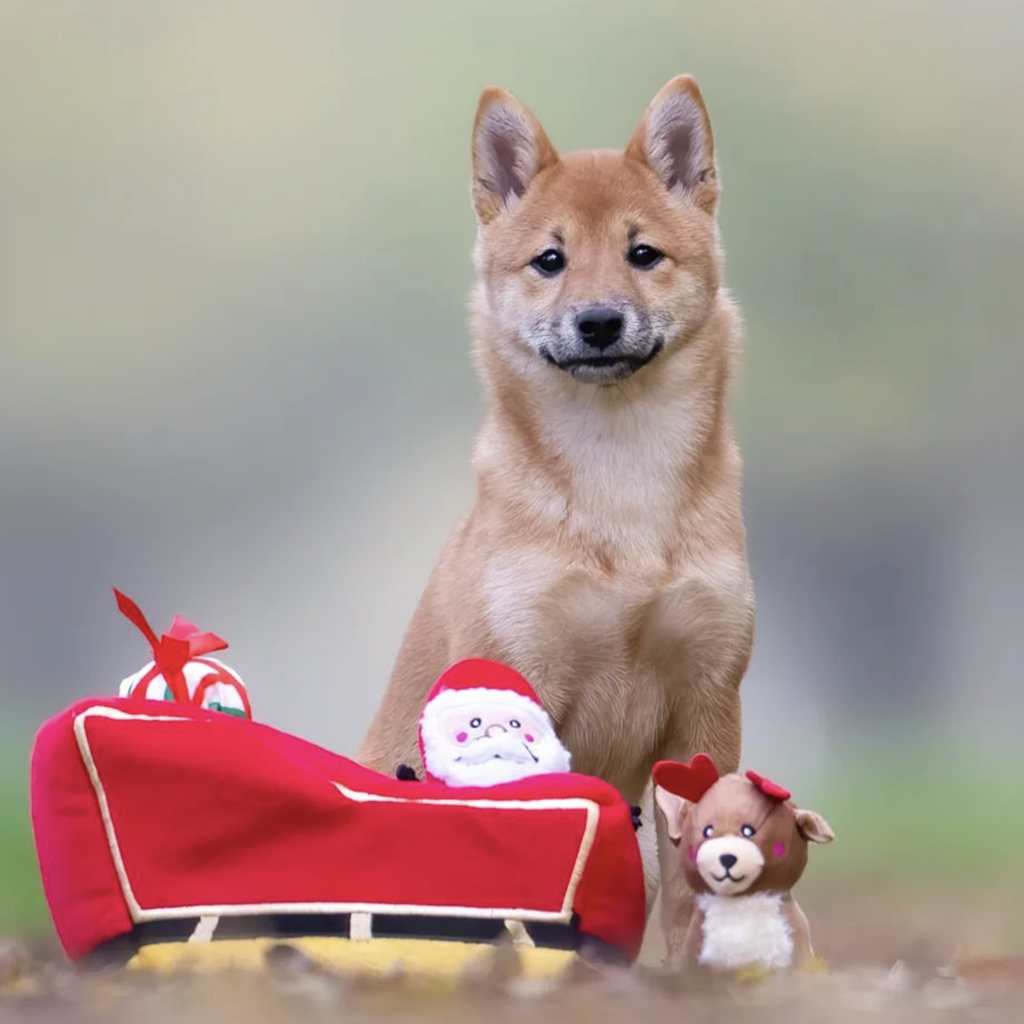 peluche traineau pour chien peluche de noel