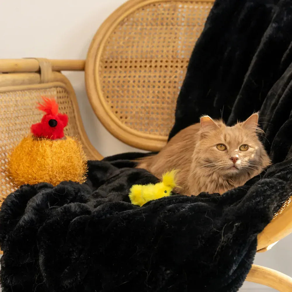 peluche de flair pour chat nid et oiseaux