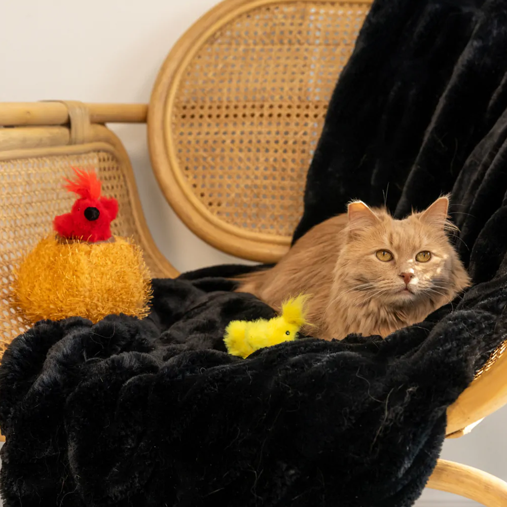 peluche de flair pour chat nid et oiseaux