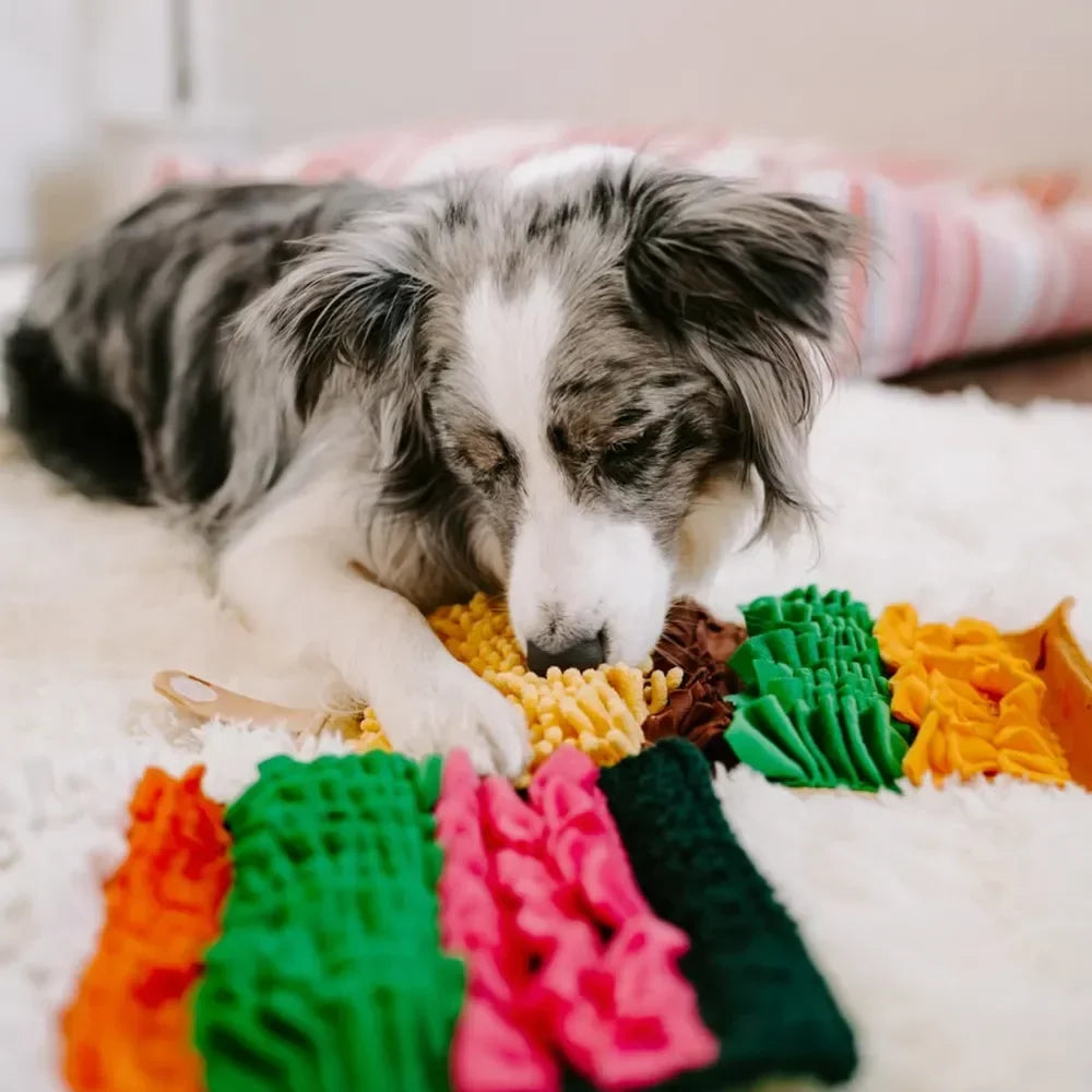 Snufflerz Roll Sushi Zippypaws : le mini tapis de fouille pour chien