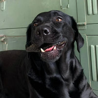 foie de renne pour chiens