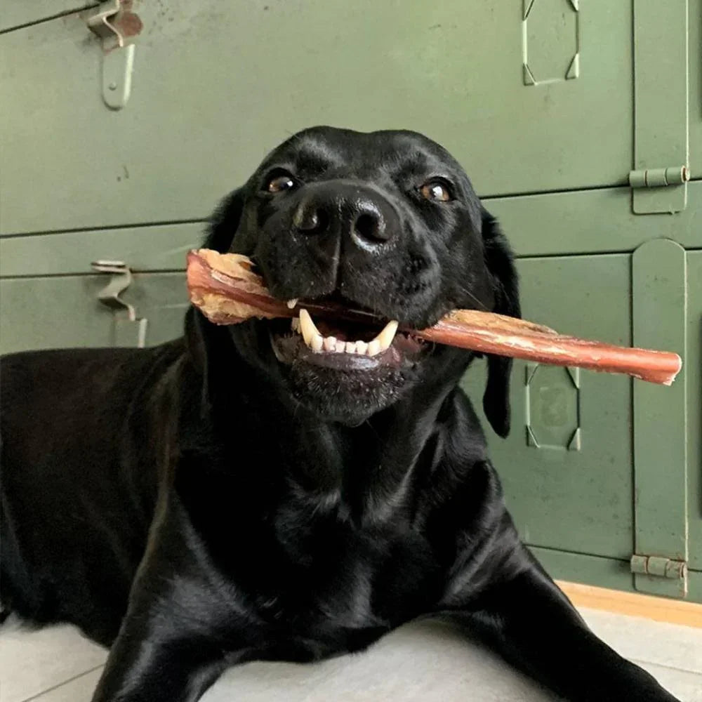 nerf de boeuf