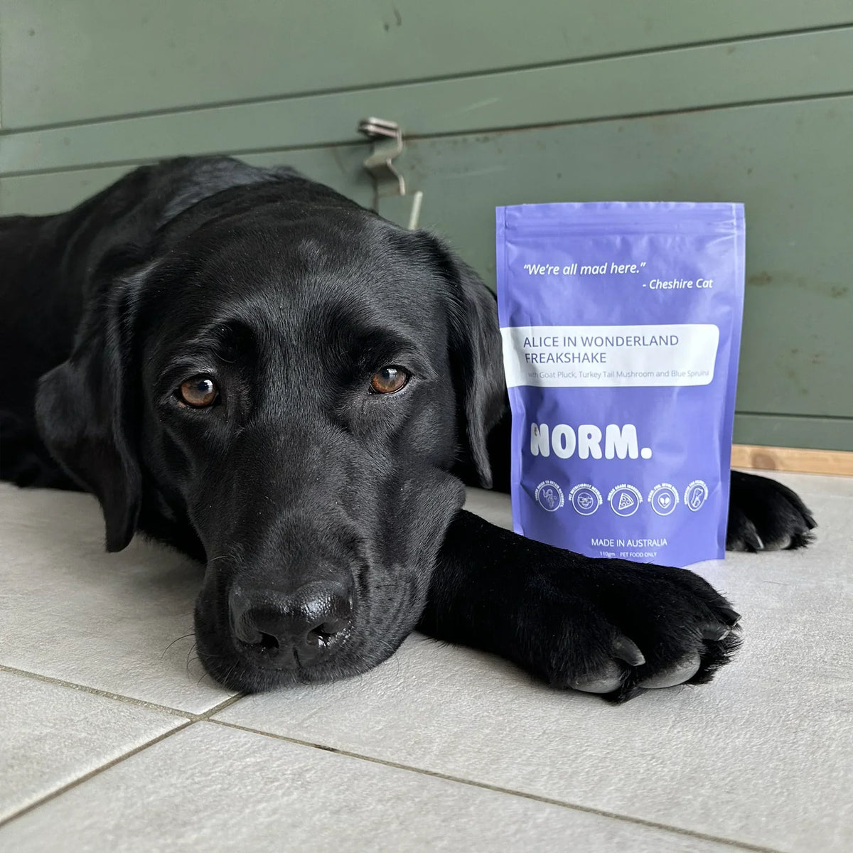 Shakes viande & superaliments lyophilisés pour chiens et chats – Norm – 110g