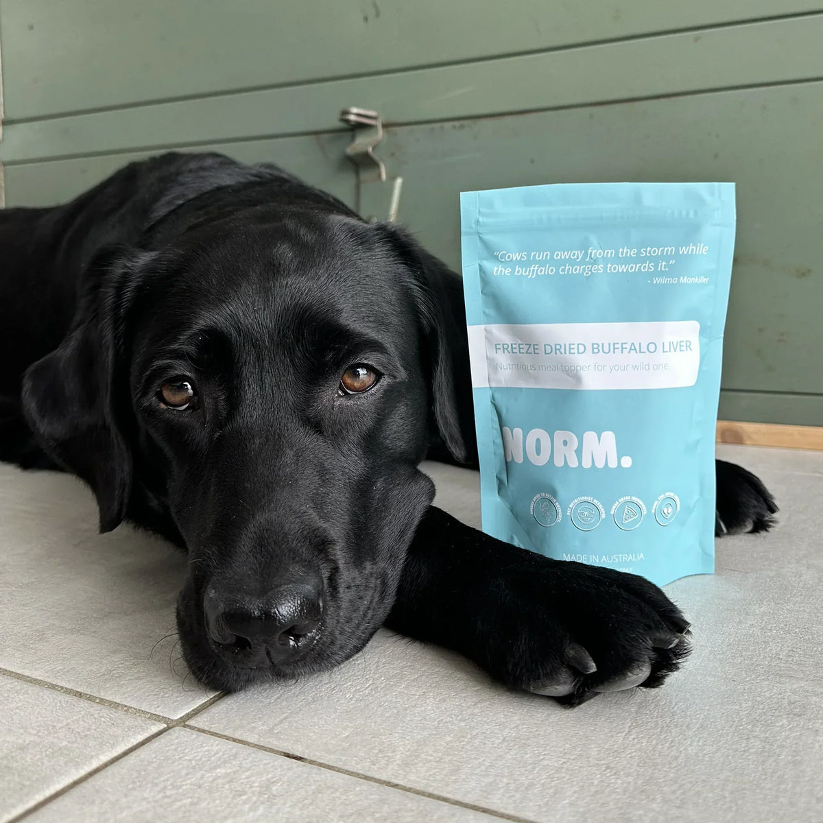 Shakes viande & superaliments lyophilisés pour chiens et chats – Norm – 110g