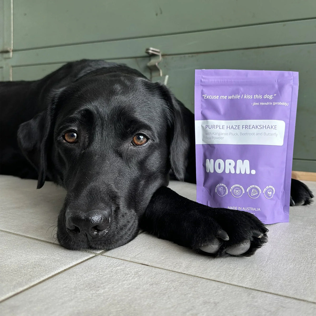 Shakes viande & superaliments lyophilisés pour chiens et chats – Norm – 110g