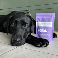 Shakes viande & superaliments lyophilisés pour chiens et chats – Norm – 110g