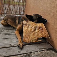 Plaque de peau boeuf – Mastication gourmande XXL pour chiens