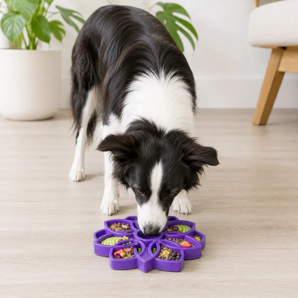 Mandala Anti-Glutton Enrichment Tray - Sodapup