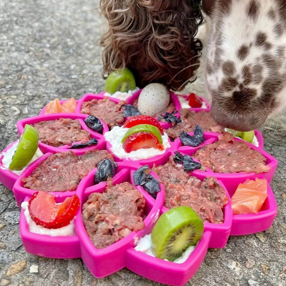 Mandala Anti-Glutton Enrichment Tray - Sodapup