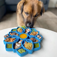 Mandala Anti-Glutton Enrichment Tray - Sodapup