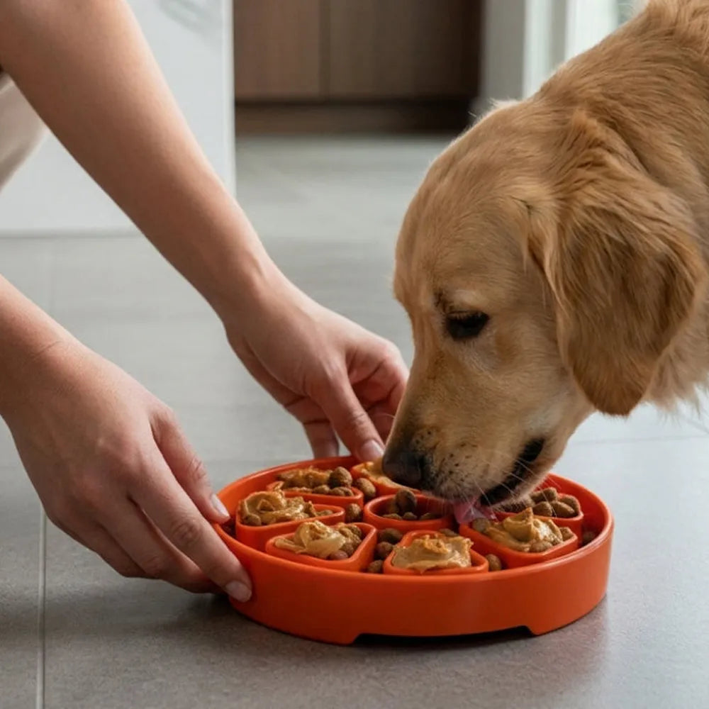 Plateau d'enrichissement anti-glouton souple Citrus Softie – Shallow eTray pour chien – Sodapup