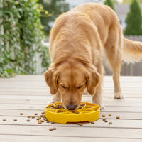 Plateau d'enrichissement anti-glouton Sunflower Softie – Shallow eTray souple pour chien – Sodapup